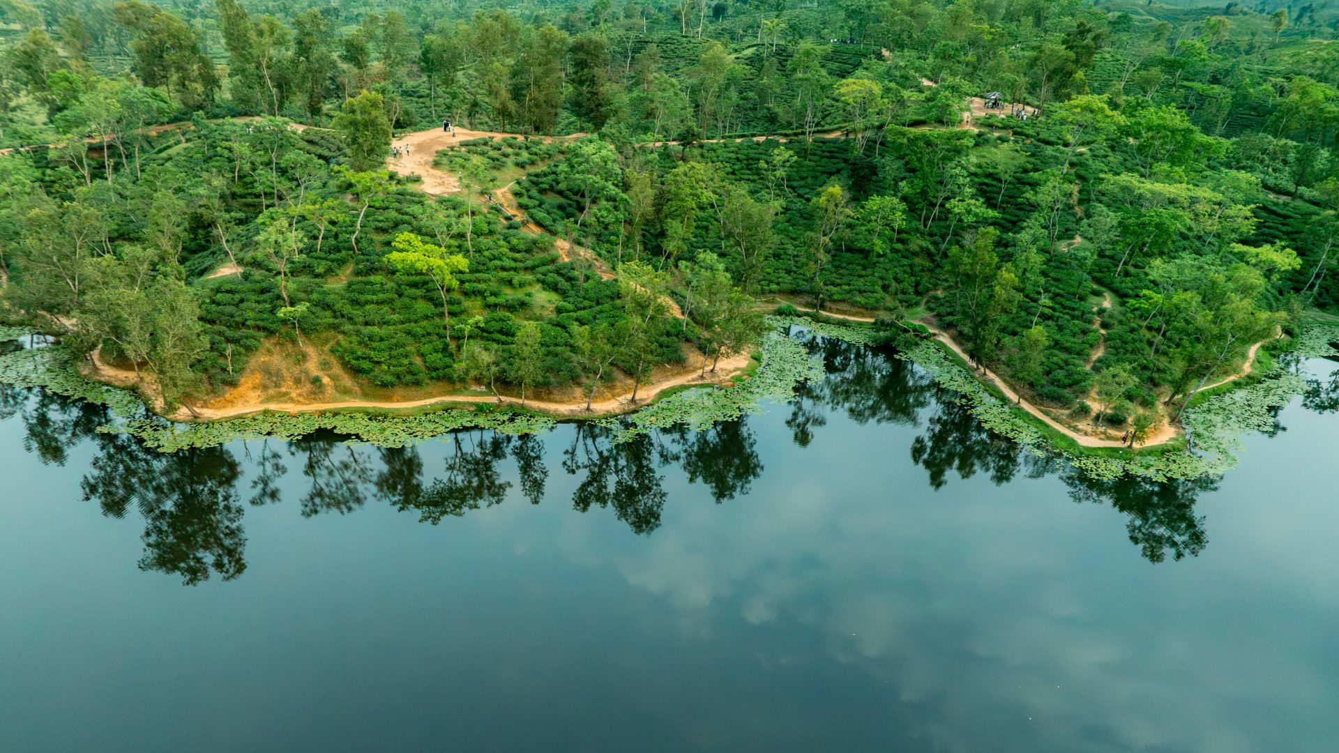 Lush green forest borders a calm lake with reflections